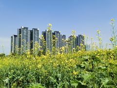 -光明小镇欢乐田园