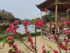 -南国桃园旅游度假区