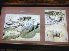 -秦始皇帝陵博物院(兵马俑)