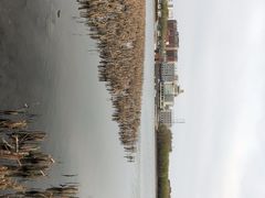 -南湖大桥