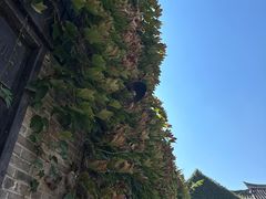 -回龙窝历史文化街区