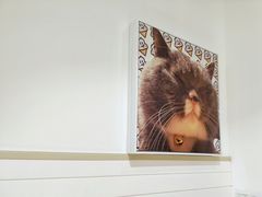-王守财小山園