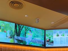 -奈雪的茶(石家庄万象城店)