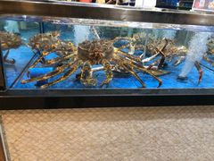 水产区-七鲜超市(万向城店)