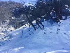 -太子岭滑雪场