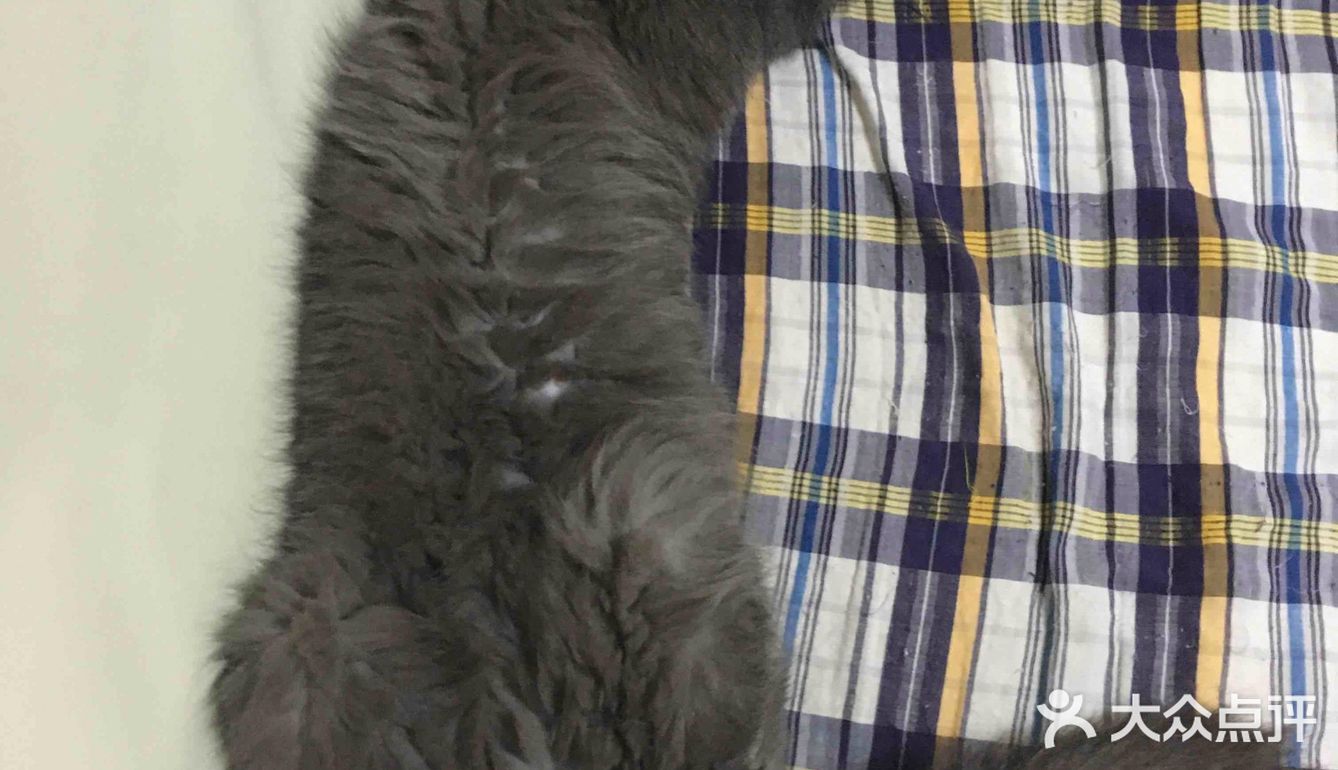 对不起的淘小桃🍑为什么不能珍惜过去的好时光？