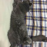 对不起的淘小桃🍑为什么不能珍惜过去的好时光？