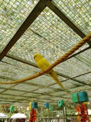 -萌宠亲子动物乐园(槐房万达店)