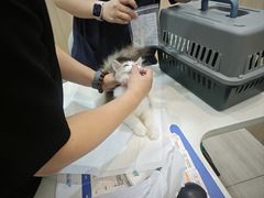 -申普宠物医院·眼科·心内科·影像科(普陀分院)