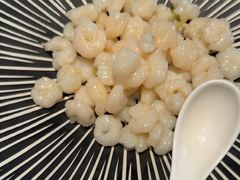 -新雅粤菜馆(南京东路店)