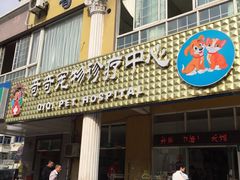 -骐奇宠物诊疗中心(南亭公路店)