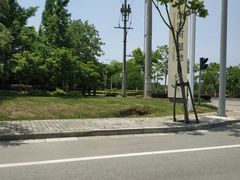 -尚贤河湿地