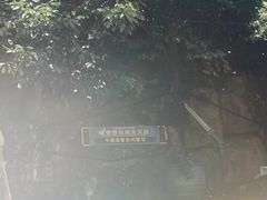 -将军关探险漂流