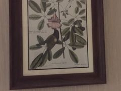 -陈记菜馆·非遗淮扬菜(东关街教场店)