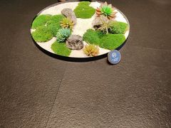 -虹之森·小馆