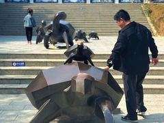-广东惠东海龟国家级自然保护区