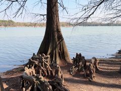 -东湖落雁景区
