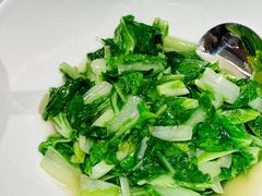 炒白菜苗-六婶西关小厨(光塔路店)