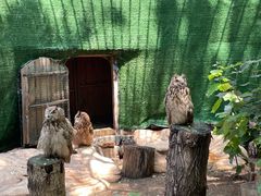-沈阳鸟岛