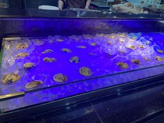 -大佛寺高级素食自助餐厅