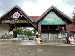 -上海海湾国家森林公园