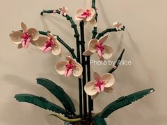 -Again Coffee Roaster(香蜜湖店)