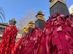 -西安大兴善寺