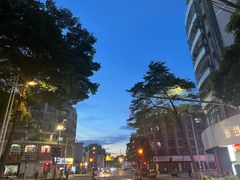 -佛山顺德香云纱园林酒店(清晖园店)