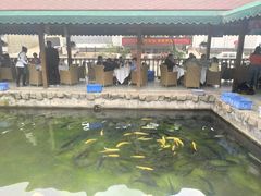 -京北渔家傲