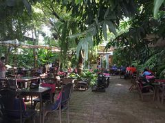 -Fern Forest Cafe