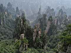 -印象鲵宴·张家界地标美食名片(溪布街店)