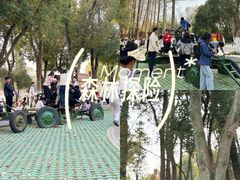 -青龙山国家森林公园