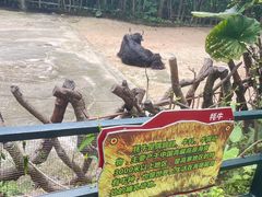 -深圳野生动物园