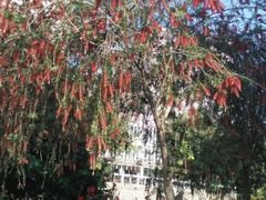 -华侨大学(厦门校区)