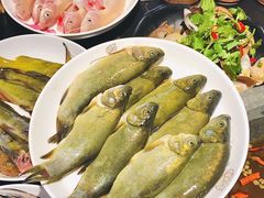 -石锅苗苗鱼(武汉首店)