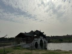 -上海海湾国家森林公园