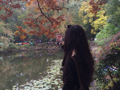 -灵谷景区
