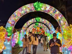 -欢乐海岸椰林沙滩-2025湾区超级灯会