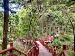 -广州市石门国家森林公园