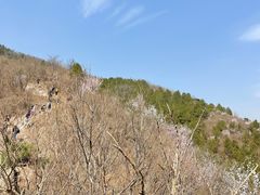 -妙峰山风景名胜区