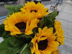 -循礼门鲜花花市(武汉循礼门店)