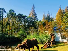 -上海长兴岛郊野公园