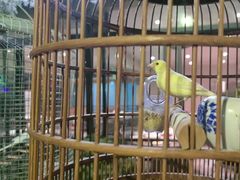 -蘇河湾·新鲁菜·泰山宴(泰山店)