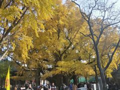 -浮来山风景区