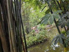 -成都杜甫草堂博物馆