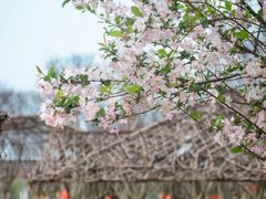 -武汉紫薇都市田园