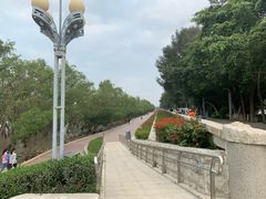 -宝安西湾红树林湿地公园