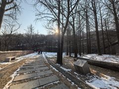 -阳台山自然风景区