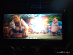 -华美国际影城(旧宫永辉店)