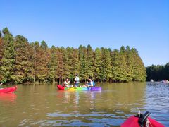 -上海海湾国家森林公园